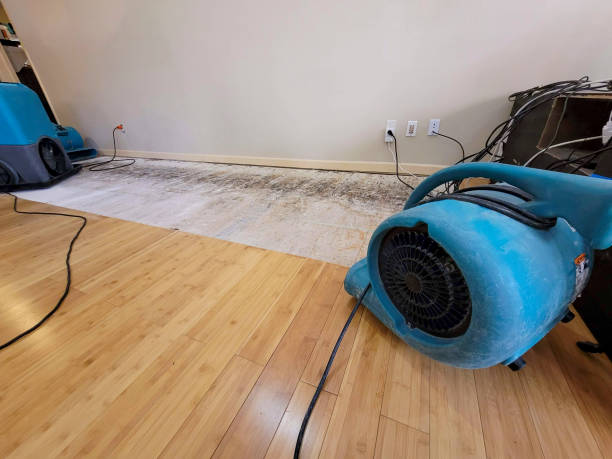 Professional Water Extraction technician working in Ardmore, PA